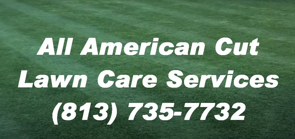 All American Cut Lawn Services (@americancut) on Twitter photo 