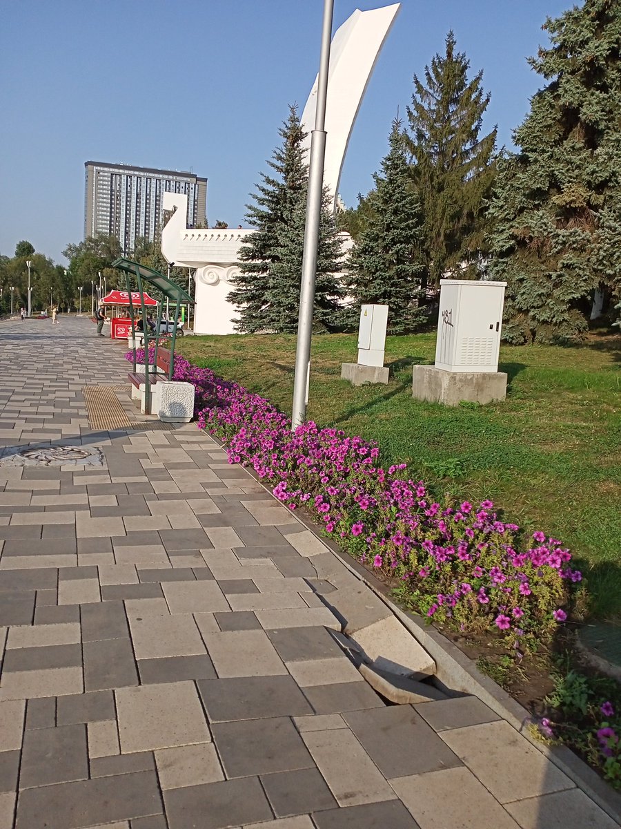 Светлана Лусис tweet media