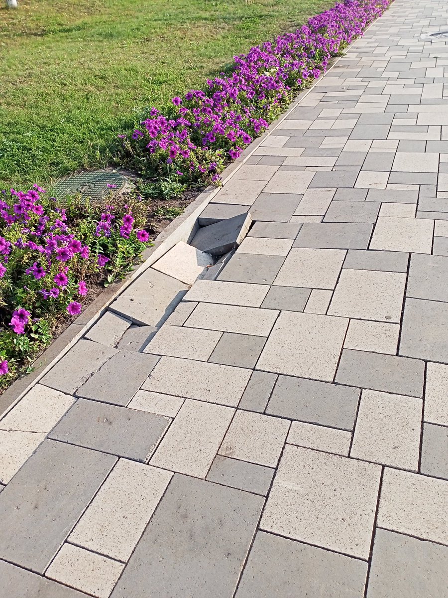 Светлана Лусис tweet media