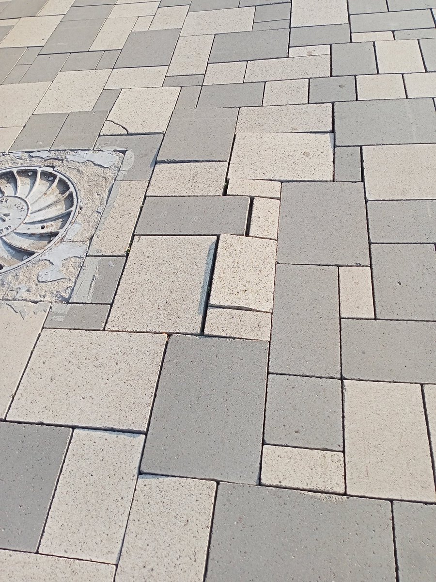 Светлана Лусис tweet media