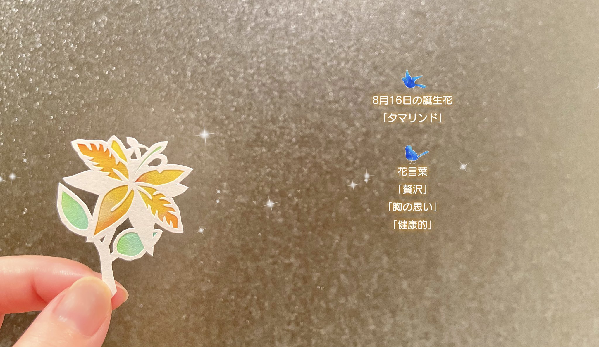 ふわりん にひゃくさんじゅういちりんめ 8月18日の誕生花 トルコキキョウ を切りました 花言葉は すがすがしい美しさ 優美 希望 です 本日がお誕生日のフォロワー様 いらっしゃいましたら おめでとうございます ﾉ