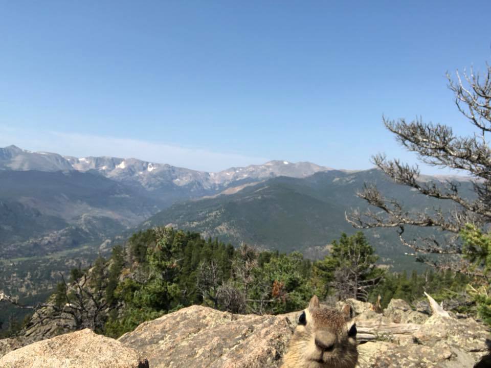 MelindaHoward4's tweet photo. One of my favorite #DateRuns with MFH🥰 #OldFallRiverRoad #RMNP #IRun4Aiden 4 years ago today! https://t.co/BCwjqz3n9V