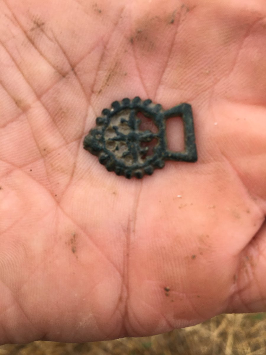 Good day yesterday 4 lizzy hammered and 1 Charles 1st a guilded leaf and a Tudor hook tag 😁👍🏻