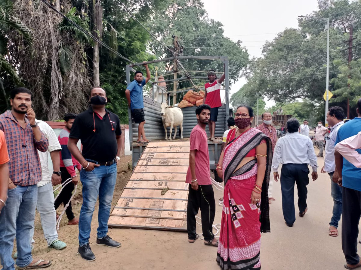 Abolinaravane's tweet photo. Go Sardha implementation has begun. Please follow the instructions of the administration and avoid paying fines..keep your cattle and our roads safe. https://t.co/Z5RcHOdeaS