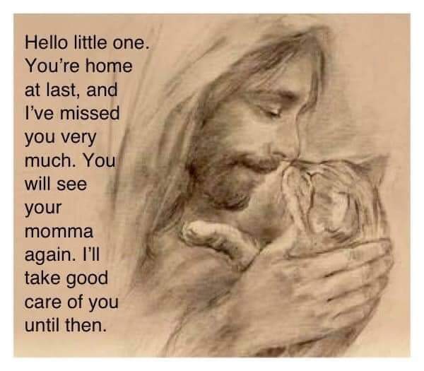 MarkGaydos6's tweet photo. @Suzan79582947 https://t.co/pd0ApsrY4P