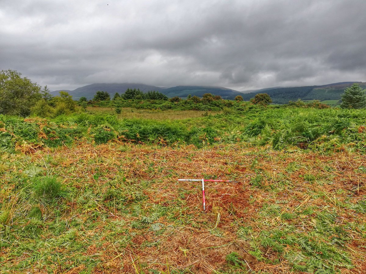 gmacg_1's tweet photo. Great start to @northlighter @UofGArchaeo evaluation of possible Neolithic Cursus monument on Isle of Arran

#ScotlandDigs2021 #IsleOfArran #Drumadoon @arrangeopark @VisitArran #prehistory #archaeology https://t.co/0C7i1p5aQB