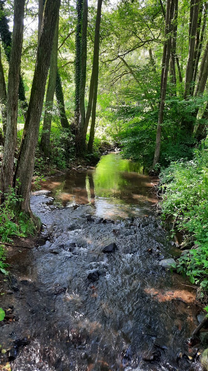 Wildromantisches Urffttal bei Bad Zwesten. Absoluter Geheimtipp die Jausenstation bei der Burg Löwenstein in Oberurff.