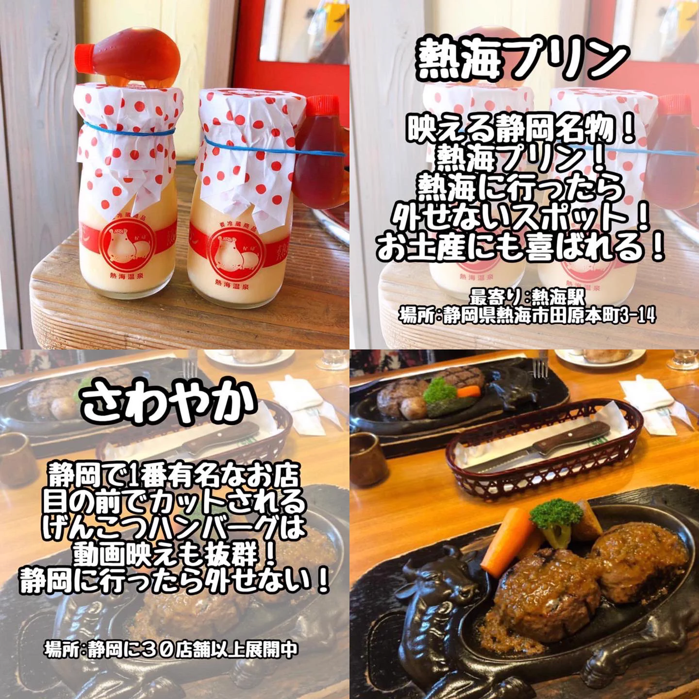 ここを抑えておけば大丈夫？静岡県のおすすめグルメ・スイーツまとめ！