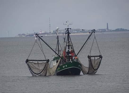garnalenkotters's tweet photo. DIT 18, JAN BRUHNS
#ditzum
#bijdeeemshaven
Met dank aan #jacobvisser https://t.co/b3sbt5C9Hf