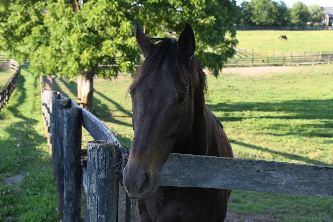 Old Friends tweet media