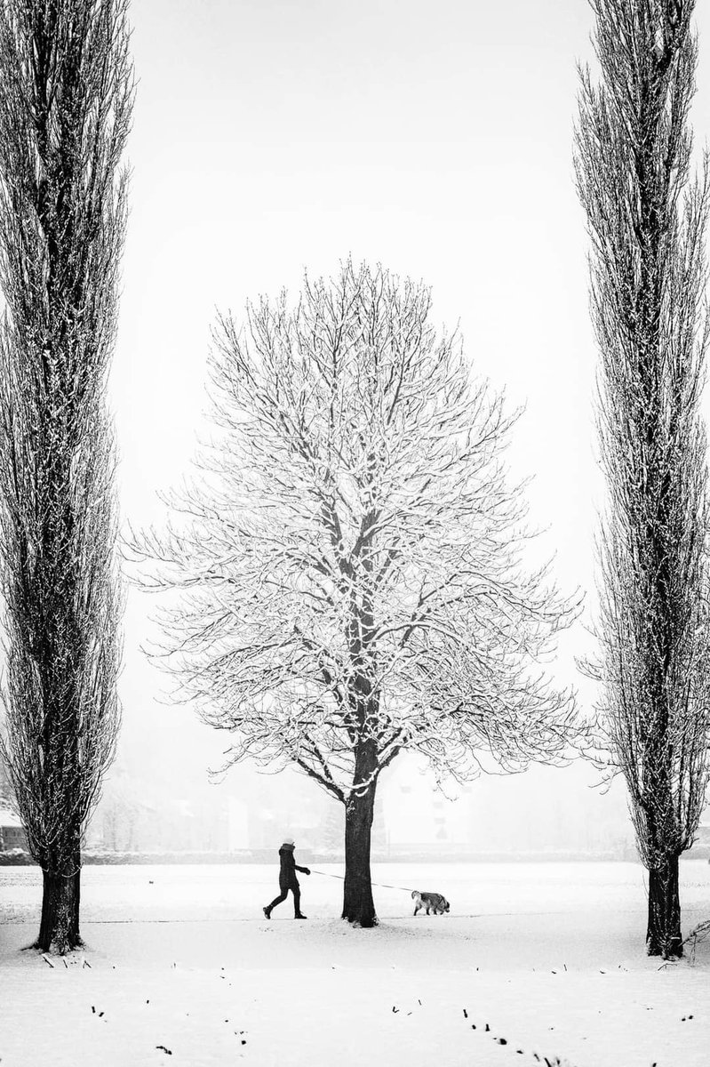 주 (@scjsdo) on Twitter photo 