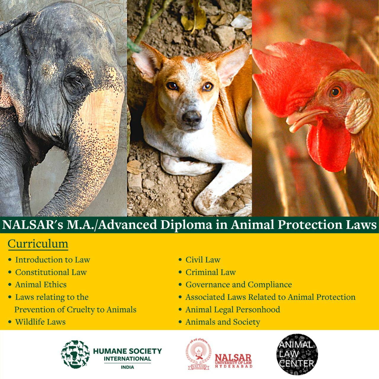 HSI/India on Twitter: HSI/India on Twitter: