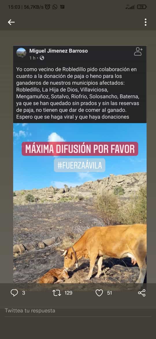 brif_iglesuela's tweet image. 