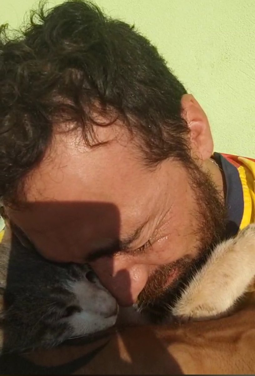 nanduti's tweet image. ¡Lamentable!😭

"Le mataron a mi Bella", Jhon el dueño de el Gato Mochilero, en medio de lágrimas anunció que envenenaron a su compañero de viajes.

Llevan años recorriendo diferentes países, hasta que hace unos meses decidieron quedarse en Paraguay.

¡Hasta siempre Bella! 💔