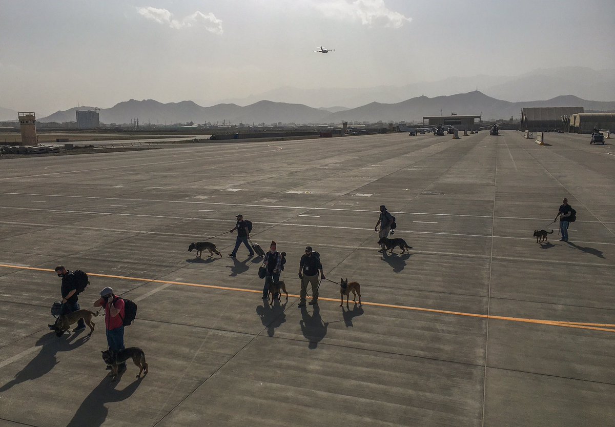 MarinaMedvin's tweet photo. US military dogs evacuated from Afghanistan on Sunday.

Looks like they were left behind as well.

Happy to see them secured.

Photos by @pwwellman https://t.co/Nn85PEDARF