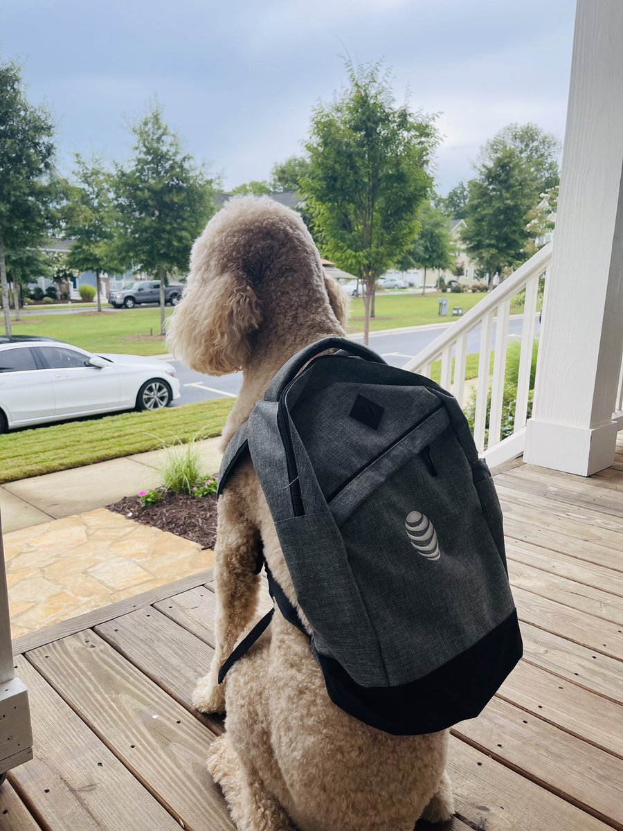 Randy K James (@randyjamesihx) on Twitter photo Happy #firstdayofschool to all the students out thereā¦.<a href="/goosethedoodle/">Goose</a> is patiently waiting on the school bus #lifeatatt <a href="/ATTBusiness/">AT&T Business</a> Happy #firstdayofschool to all the students out thereā¦.<a href="/goosethedoodle/">Goose</a> is patiently waiting on the school bus #lifeatatt <a href="/ATTBusiness/">AT&T Business</a>