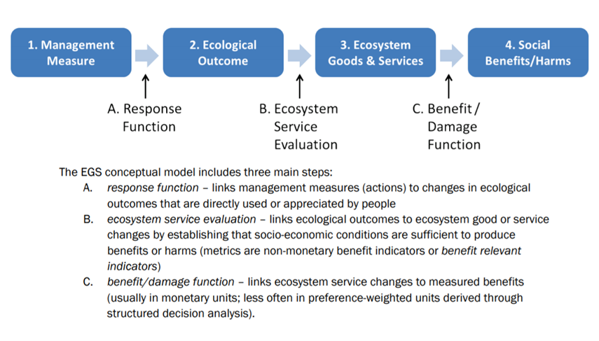 NTISInfo's tweet photo. See this @ArmyERDC report which proposes an analytic framework to serve as a foundation for the U.S. Army Corps of Engineers ongoing development of effective and consistent social benefit metrics. #innovation #environmental #management #science #library  

https://t.co/n9aMsILfBR https://t.co/1bW5eWbztA