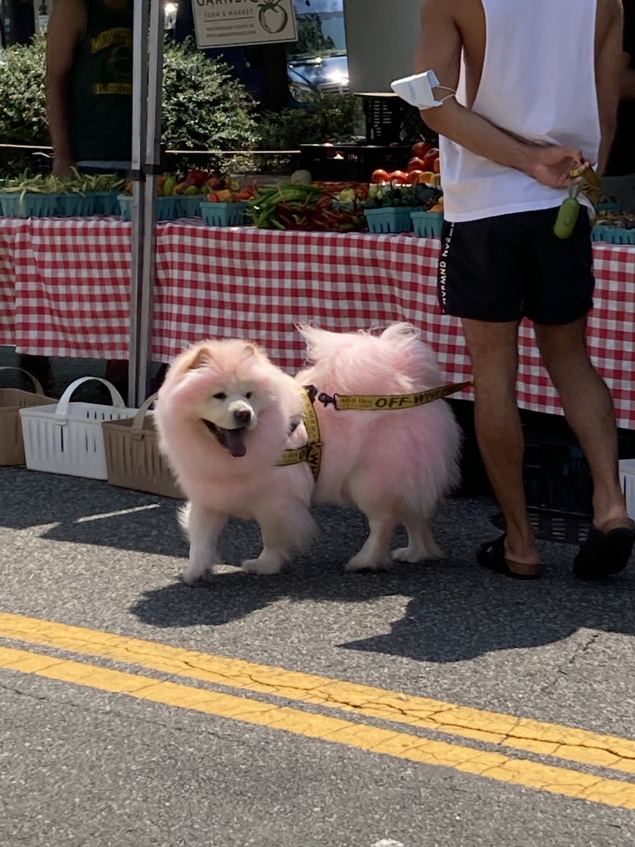 Number1Sons's tweet image. Scenes from the market this weekend