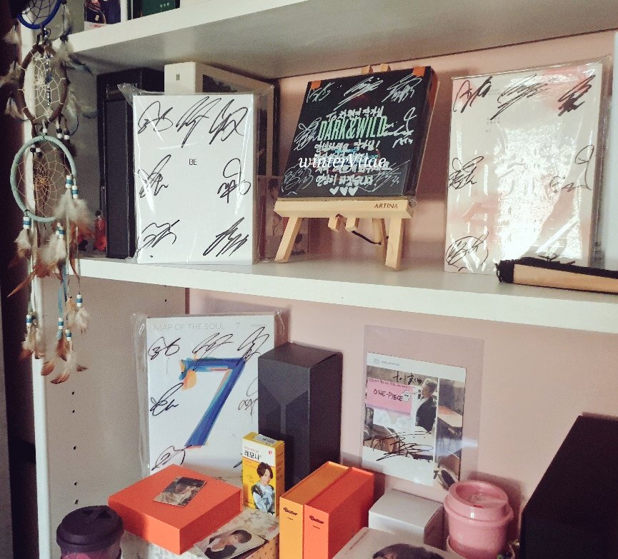 ile⁷🌿 tweet media