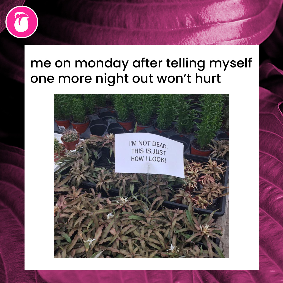 can we all just lower our voices #licklist #monday #crying #weekend #meme