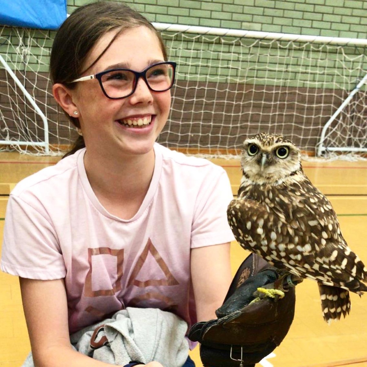 ChaseHighSch's tweet photo. ☀️YEAR 7 INTO YEAR 8 SUMMER SCHOOL 2021 ☀️
We had more animals visit us last week for Summer School! Pupils and teachers experienced various birds of prey from @codafalconry 🦅 🦉
 #chasehigh #summerschool #codafalconry #birdsofprey #birds #owl #westcliffonsea #fun  #Southend https://t.co/exDVI68gKu