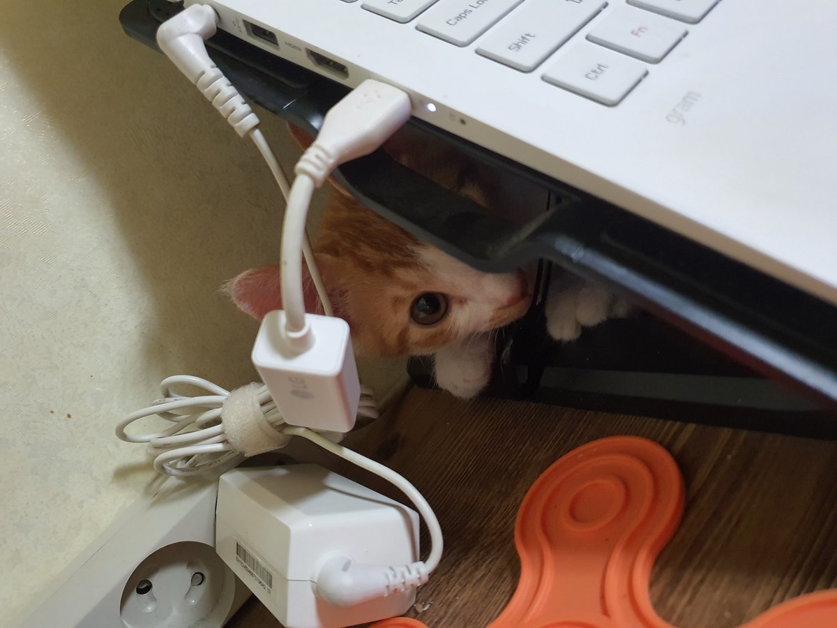 Adopt_Mulberry's tweet photo. 눈나...
내가 콤퓨타하지말구 놀쟀자나!!!! https://t.co/FVnVqoYZnI