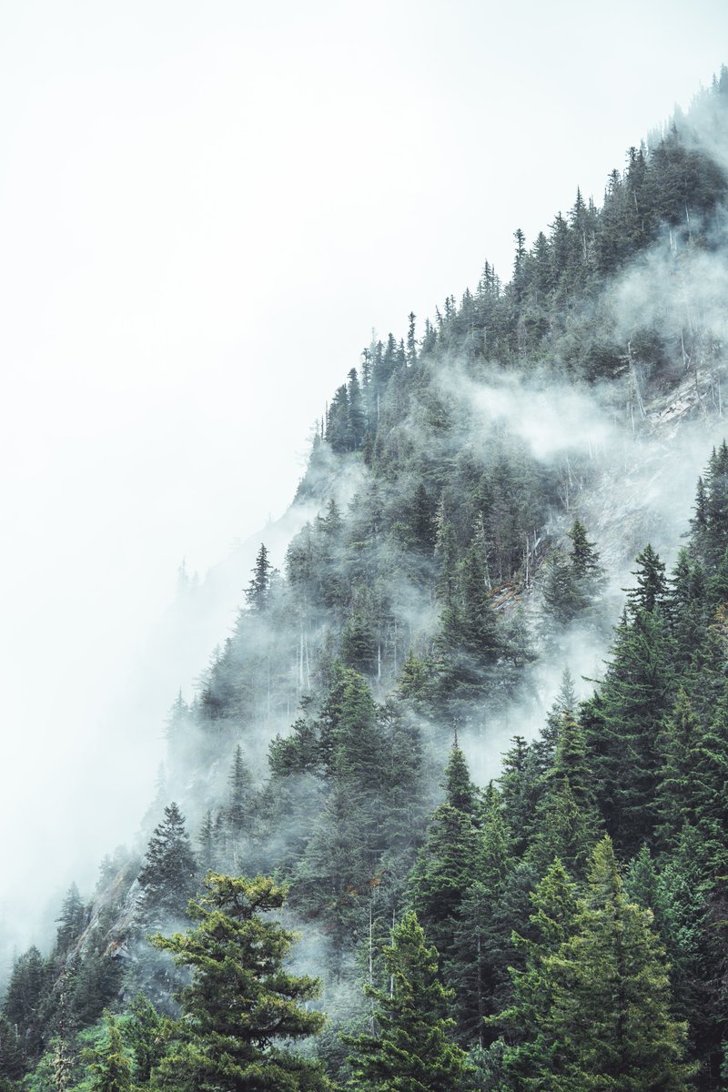 Cameron Thomsen tweet media