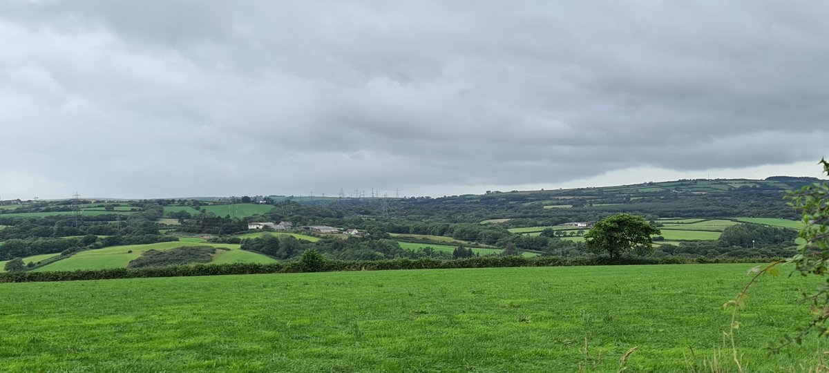 A little over half way...... Rural Llanelli. 6 and a half hours done, 5 and a half to go! Loving the new faces we have met already today! <a href="/LrcCommunity/">Llanelli Rural Council</a> <a href="/TNLComFundWales/">The National Lottery Community Fund Cymru</a>