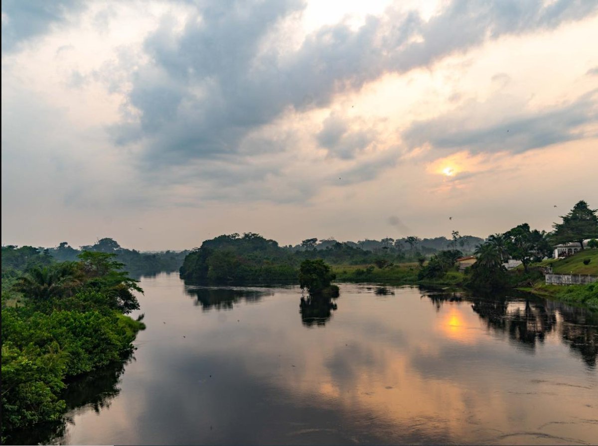 Le Congo Est Chic tweet media