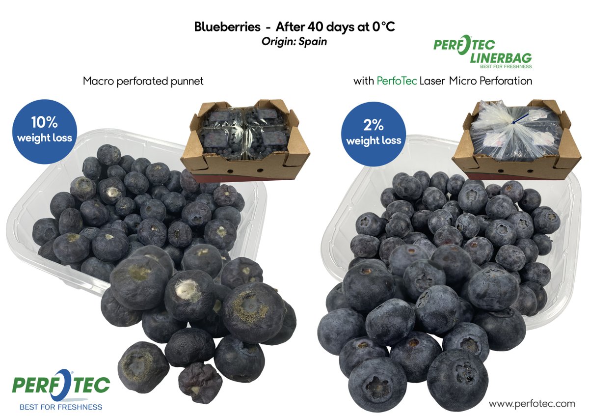 Results captured at 40 days. PerfoTec’s results for #Blueberries during sea transport and storage at 0°C: No mould, significantly less weight loss and still fresh, firm and edible! 

#Sustainability #foodwaste #Packaging #Transport #storage