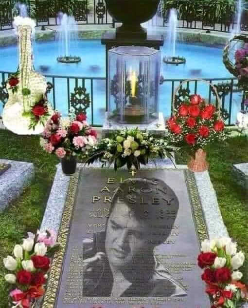 Jackie (@jackie92607149) on Twitter photo 