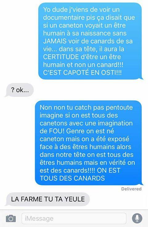 ComplotsFaciles's tweet photo. Théorie du complot Québecoise (redif) #NousCanetons https://t.co/KTUVYCunEe