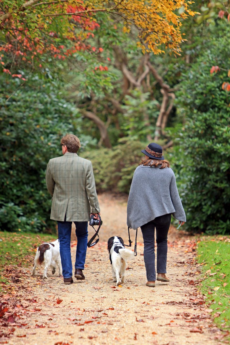 Exbury is dog-friendly! Do you know why?

Dogs can:
- roam our stunning 200 acre woodland gardens with their owners 🐕🚶‍♀️
- ride the steam railway 🚂
- enjoy delicious canine ice cream 🍦

And... dog owners can get 20% off gardens admission on Tues 17 Aug: exbury.co.uk/devoted-dogs