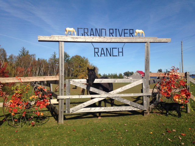 Westisle Family of Schools collaborated with local service providers to offer weekly outreach opportunities to adolescents. One week they visited Grand River Ranch, students had the chance to learn about inclusion and how horses and nature can positively impact our mental health.
