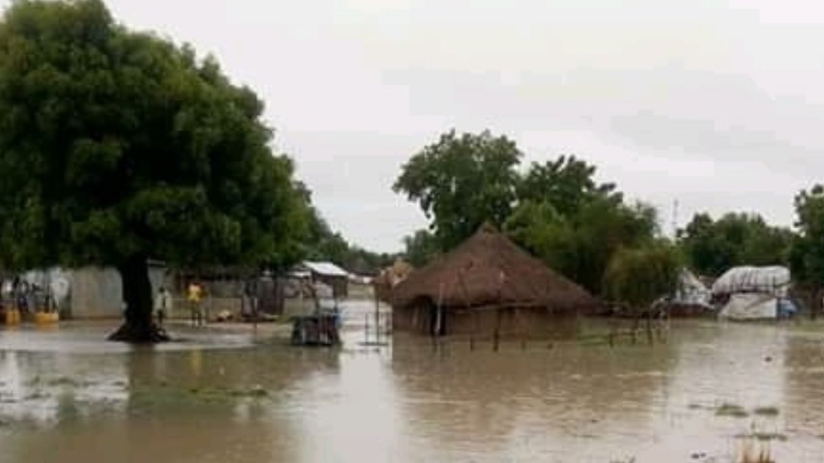 RadioTamazuj's tweet photo. Thousands of internally Displaced Persons (IDPs) in #Melut County of Upper Nile State have been left homeless and hungry after floods hit parts of the county since last month. #SouthSudan https://t.co/iAXI8gOPYN https://t.co/b6loJnEjYj