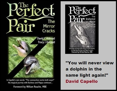 Those so called care for animals organisations such as aqua theme parcs always find a way to get a long with slavery of innocent animals. Changing bills and laws by the galore to fill the pockets! #BeTheirVoice They depend on us. 🐬theperfectpairdolphintrilogy.com/gallery-of-rev… <a href="/Catlord568/">Catherine Lord</a>