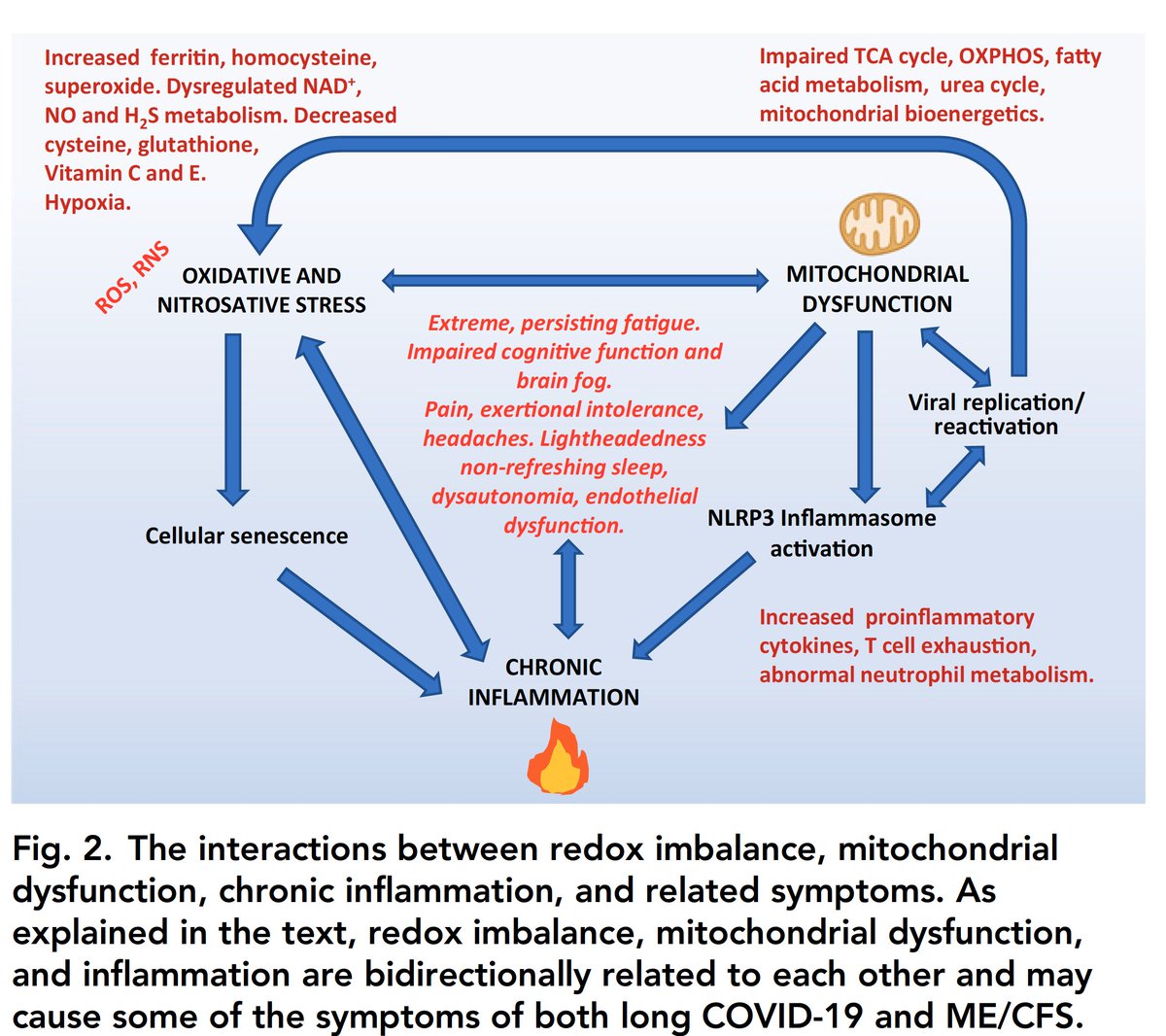 Could oxidative stress ("redox imbalance") be the link between #LongCovid and myalgic encephalomyelitis/chronic fatigue syndrome (ME/CFS)?
A new perspective <a href="/PNASNews/">PNASNews</a> 
pnas.org/content/118/34…