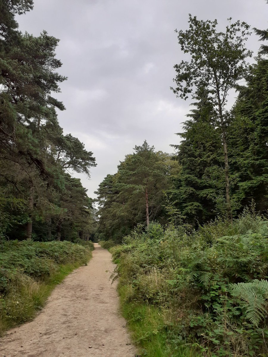 PaulMat51794654's tweet photo. @ThePhotoHour 
Westerham to Edenbridge. 
#GreensandWay 
#VanguardWay 
#Kent 
#Surrey 
@RamblersGB 
16-8-2021 https://t.co/k4BdAIyyXl