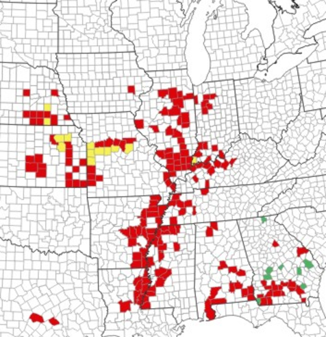 Sunrise_FS's tweet photo. Tar spot and southern rust have built up over the past week, and unpredictable weather and application delays have caused problems in some areas. Learn more here! https://t.co/yAE5PZZbJa.
#SunriseFS #harvest2021 https://t.co/2c9ZwaJk0H