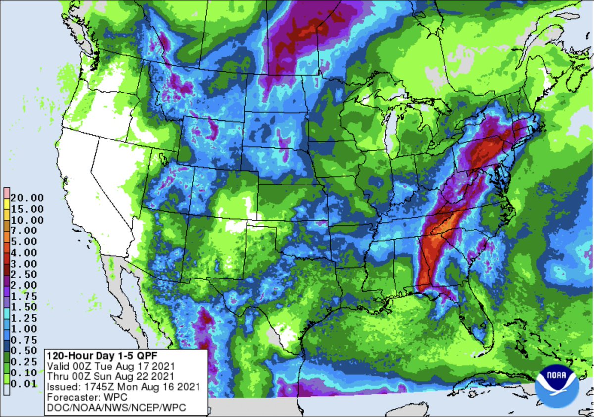 TVAnews's tweet photo. The heaviest rainfall from the remnants of  TS #Fred is expected near the border of Georgia, N. Carolina, and Tenn., with the potential of 5-7". Depending on where we see the heaviest rain, tributary lakes could rise several feet. No significant Tenn. River impacts are expected. https://t.co/BQSHGhVRJV
