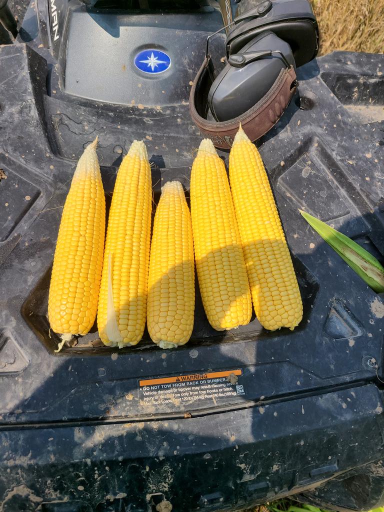 azdeeds's tweet image. More unofficial data rolling in from Cheyenne County KS on the #vsda crop tour