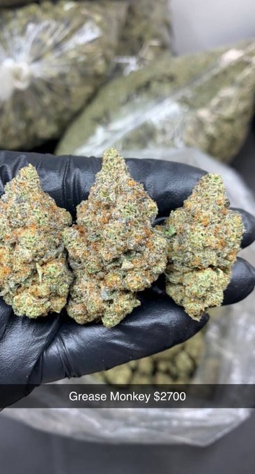 Grease monkey 🐒 🔥🔥🔥🔥🔥 https://t.co/a1dbykcG2A<a href="/tag/sundayvibes"class="tags"><span>#sundayvibes</span></a><a href="/tag/maserati"class="tags"><span>#maserati</span></a>