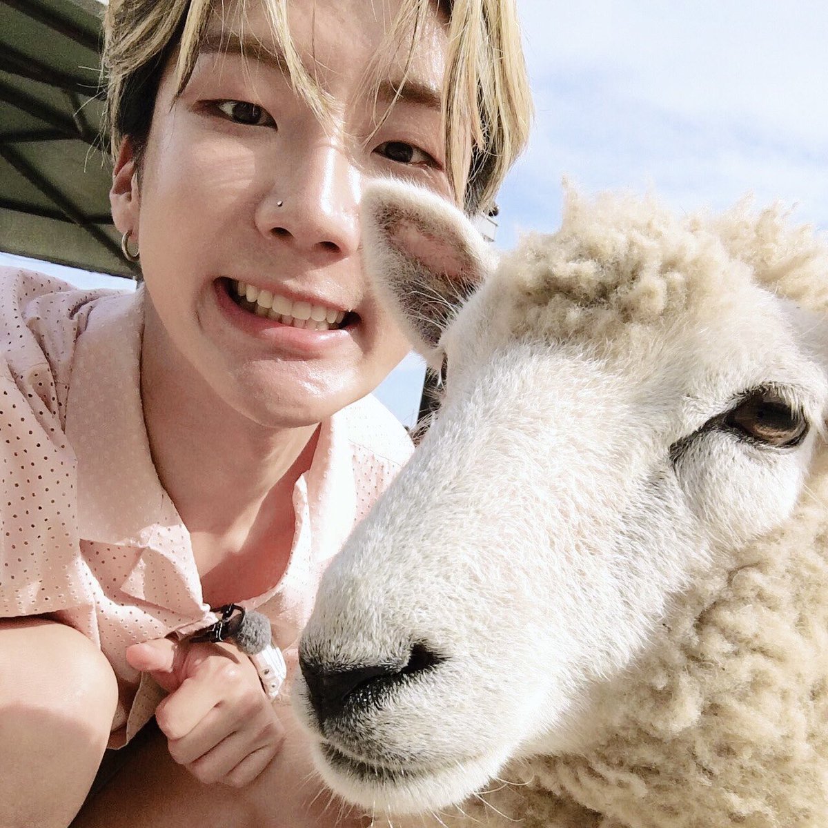 Dear_Youth1025's tweet photo. 세상에서 가장 완벽한 사각형이자너
우리 위너 얼른 보고싶다💙💙

#위너야_7년째_널좋아해
#7YearsWithWINNER https://t.co/KptYK7gbnz