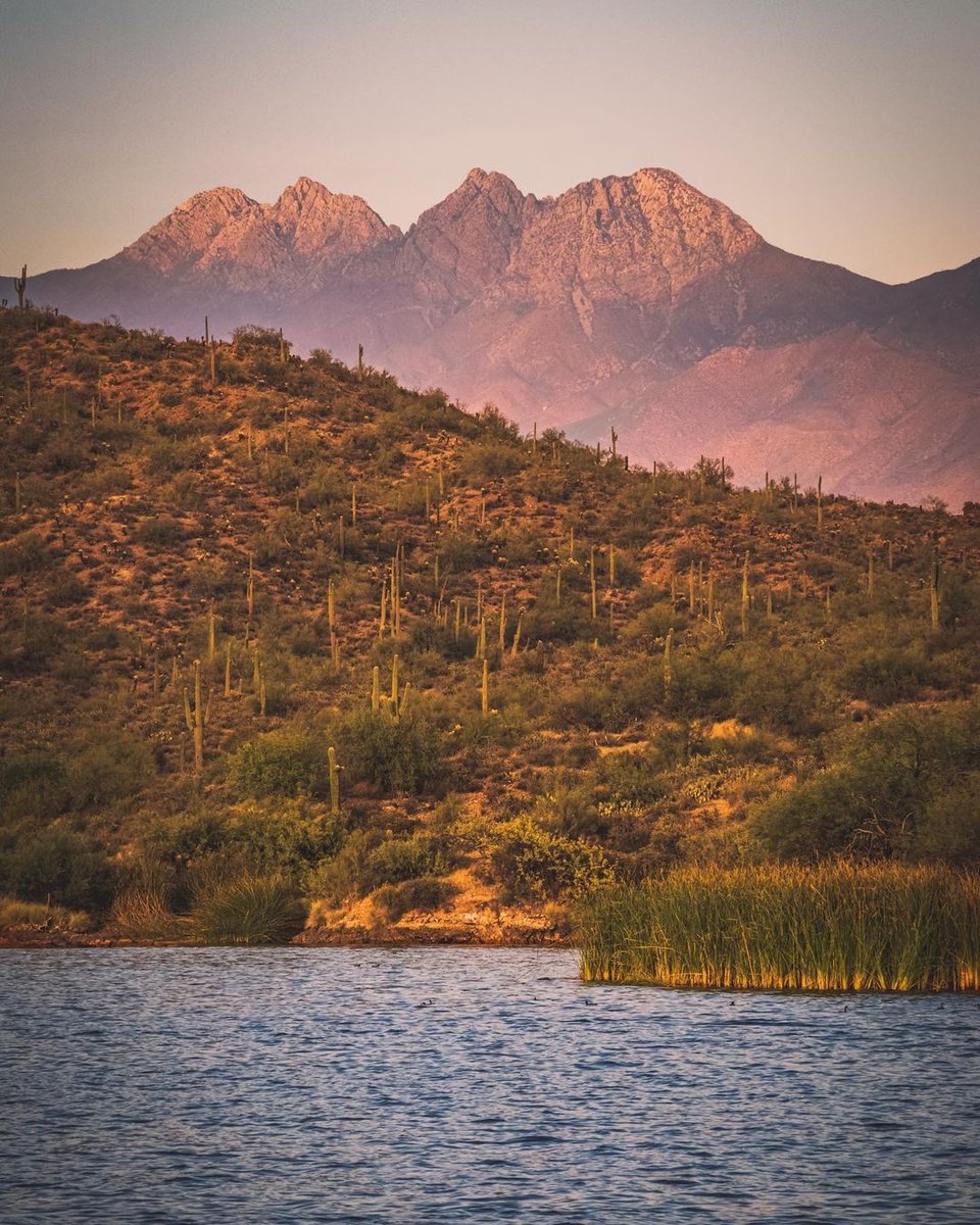 Isn’t Arizona Beautiful? 🏜
📸: <a href="/kantolphotos/">Kantolphotos</a>