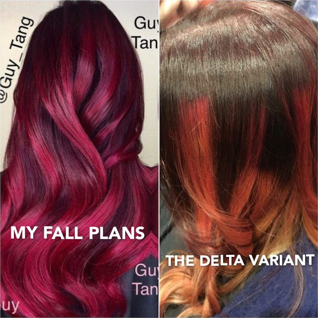 SenojNG's tweet image. The fall of labor Kabul should never have happened, but I don't know enough to be anything but concerned for the innocent civilians.

So Delta variant memes it is.

#FallPlans #DeltaVariant