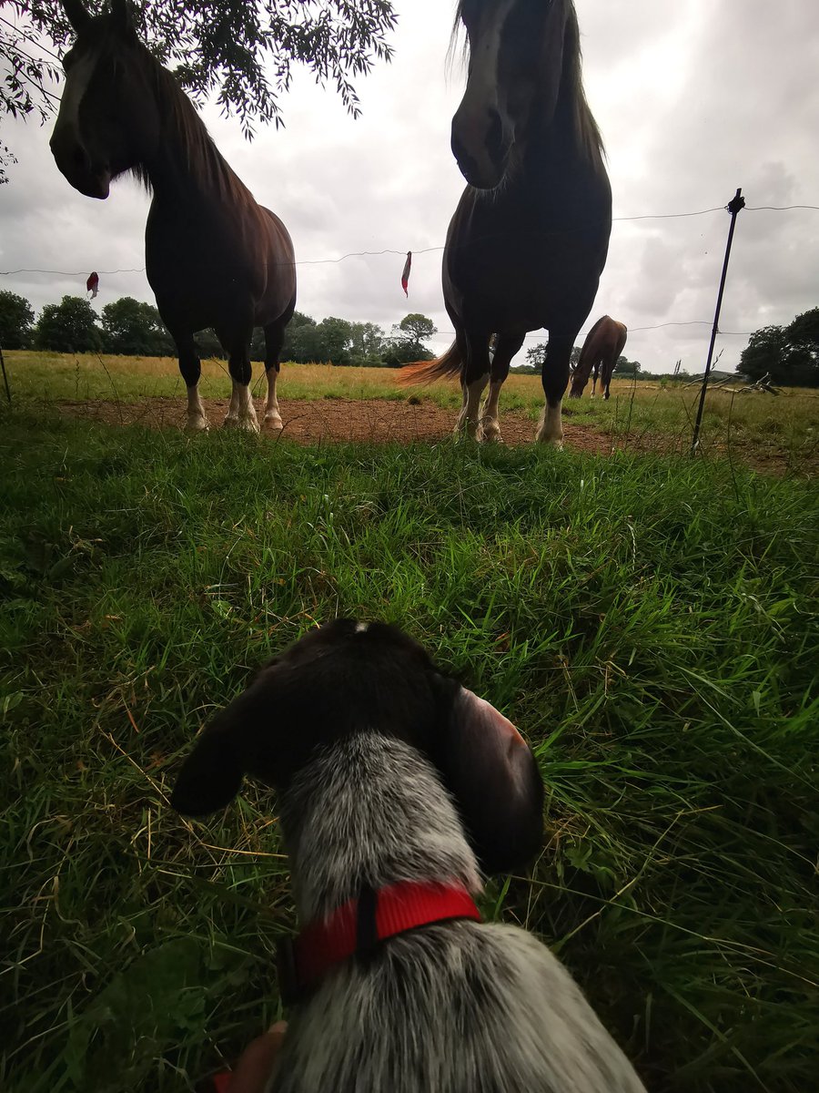 an amezegezh meump gwellet hiziv gant Seven