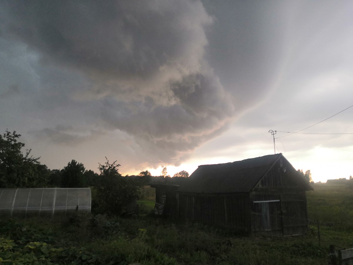 quick_mind's tweet image. 