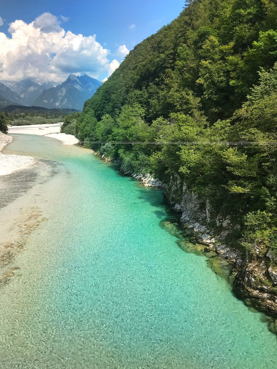 BOBEE Spot tweet media