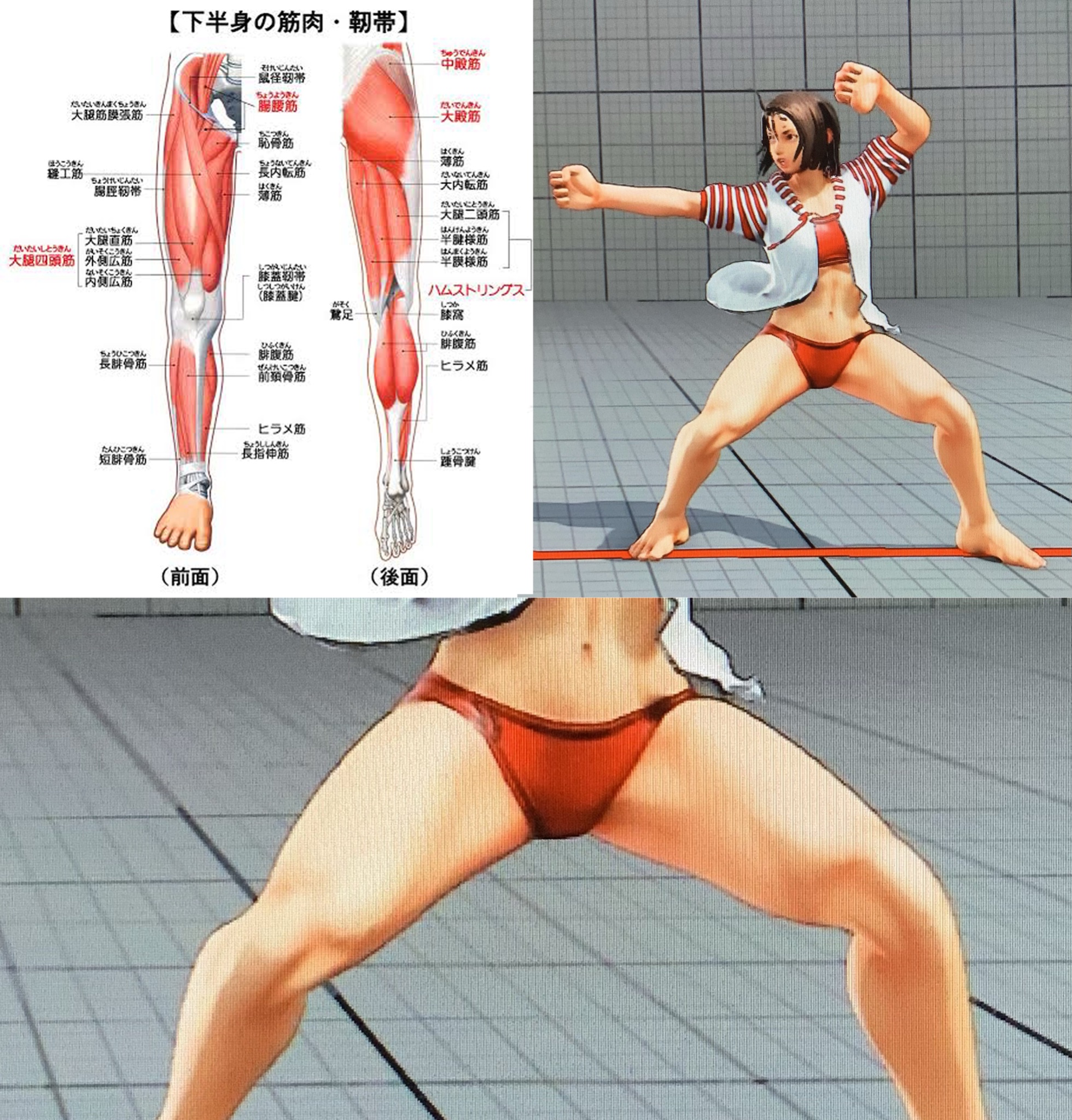 O Xrhsths たまやん Sto Twitter Sfvの追加キャラであるあきらの脚をずっと研究してたんだが 体の動きに応じて人体解剖学にかなり忠実に筋肉が動いてるの凄くない 脚を踏ん張った時に縫工筋や恥骨筋が浮き上がる3dモデルなんてなかなか無いよ T Co O Xrhsths たまやん Sto Twitter Sfvの追加キャラであるあきらの脚をずっと研究してたんだが 体の動きに応じて人体解剖学にかなり忠実に筋肉が動いてるの凄くない 脚を踏ん張った時に縫工筋や恥骨筋が浮き上がる3dモデルなんてなかなか無いよ T Co