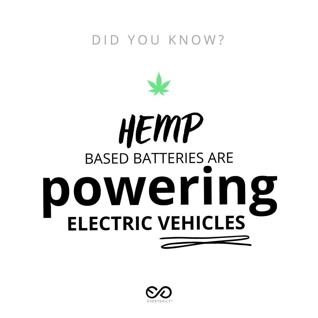 BeEveryDaily's tweet image. "It is no secret that hemp is a very versatile crop. From textiles to seeds for consumptions, from hempcretes (hemp concrete) to hemp milk, and now hemp based batteries? 

Follow us to get more amazing facts about this incredible plant!"